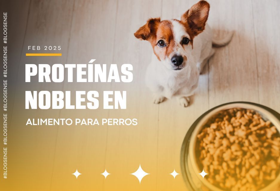 Proteínas nobles en alimento para perros